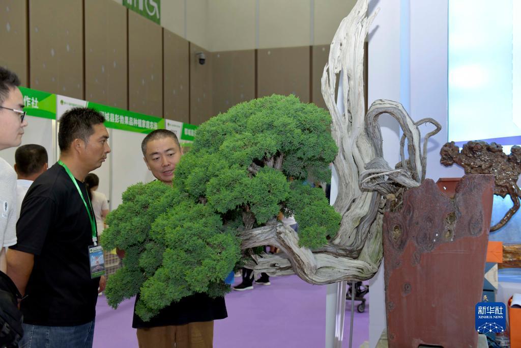 合乐888登录网站
